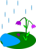 Flower By Puddle In The Rain Clip Art